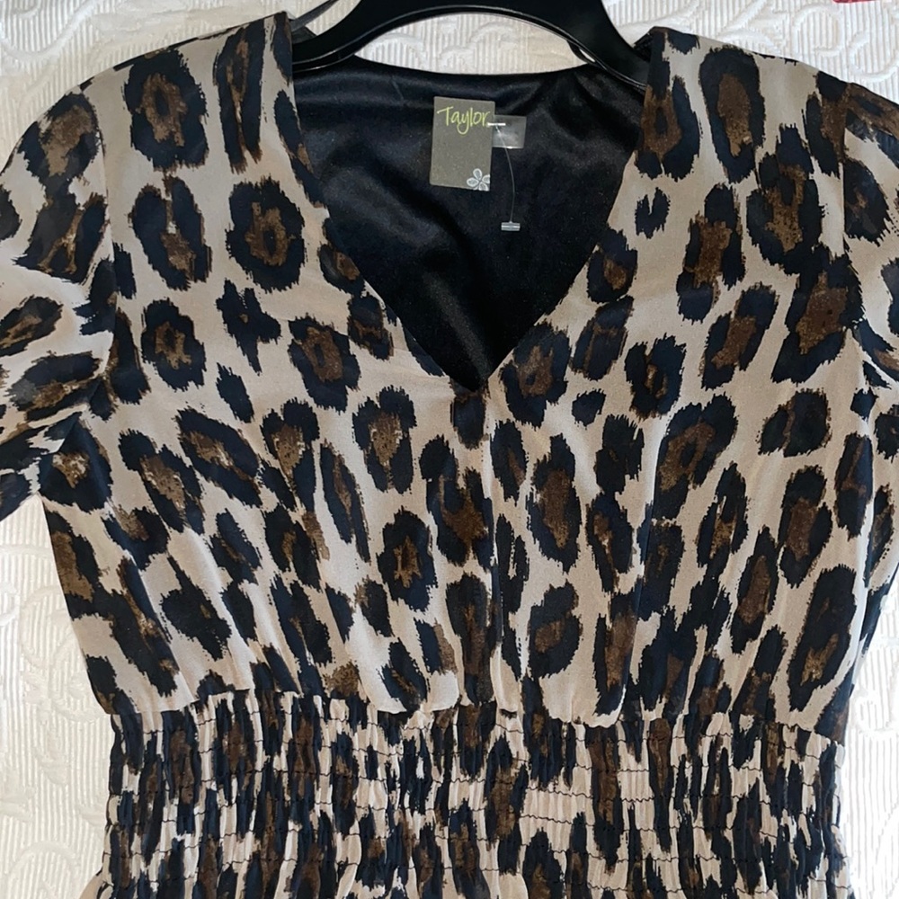 Taylor size 6